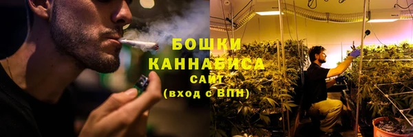 PSILOCYBIN Белокуриха