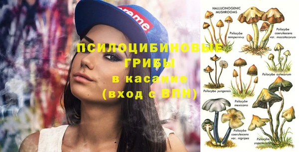 твердый Белоозёрский