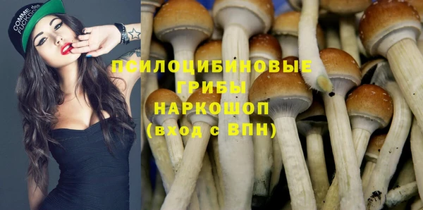PSILOCYBIN Белокуриха