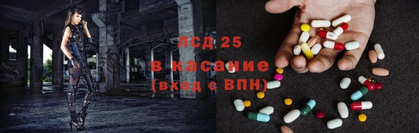 PSILOCYBIN Белокуриха