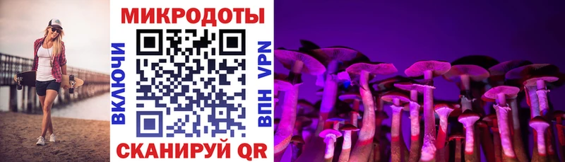 сайты даркнета официальный сайт  Красноярск  Псилоцибиновые грибы Psilocybe 