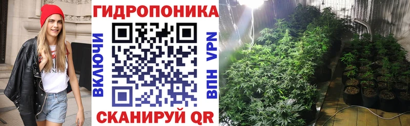 как найти закладки  Красноярск  МАРИХУАНА ГИДРОПОН 